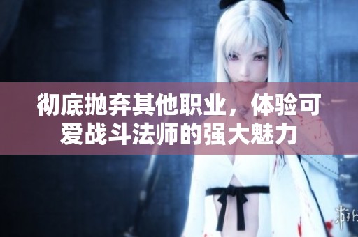 彻底抛弃其他职业，体验可爱战斗法师的强大魅力