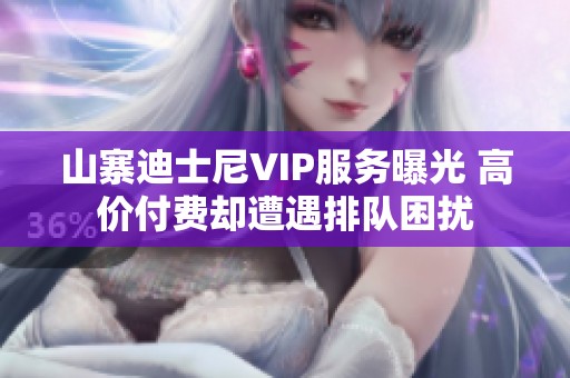 山寨迪士尼VIP服务曝光 高价付费却遭遇排队困扰