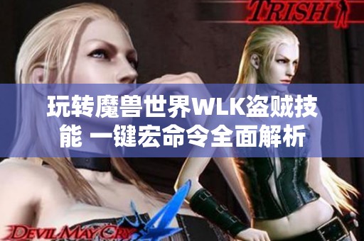 玩转魔兽世界WLK盗贼技能 一键宏命令全面解析