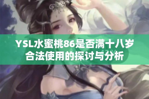 YSL水蜜桃86是否满十八岁合法使用的探讨与分析
