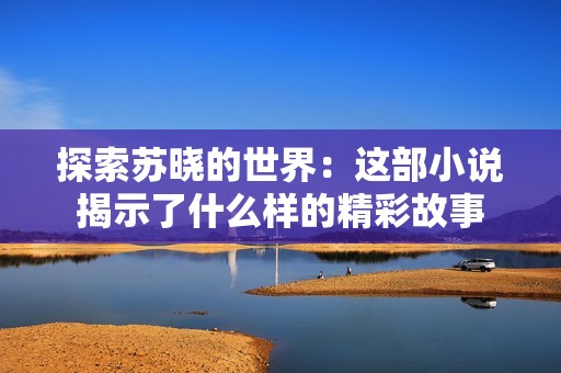 探索苏晓的世界：这部小说揭示了什么样的精彩故事