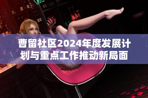 曹留社区2024年度发展计划与重点工作推动新局面