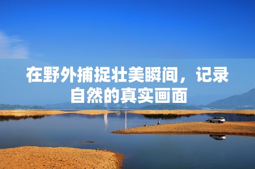 在野外捕捉壮美瞬间，记录自然的真实画面