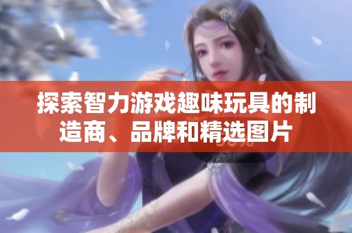 探索智力游戏趣味玩具的制造商、品牌和精选图片