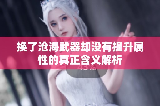 换了沧海武器却没有提升属性的真正含义解析
