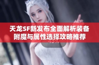 天龙SF新发布全面解析装备附魔与属性选择攻略推荐