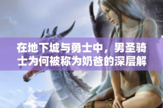 在地下城与勇士中，男圣骑士为何被称为奶爸的深层解析